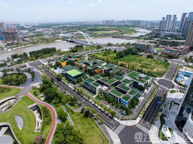 经济大省“领跑”产业新赛道 经济大省“领跑”产业新赛道